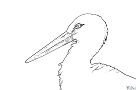 ʻo stork Nā ʻaoʻao Kala Hiki Ke Paʻi ʻia